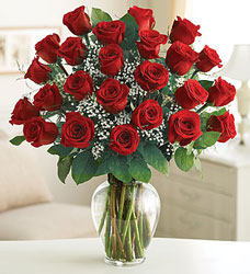 Red Rose BOGO Flower Power, Florist Davenport FL
